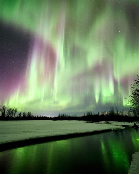 Northern Lights | Travel Alaska