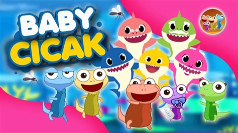 Baby Shark Versi Cicak Cicak Di Dinding Baby Cicak Lagu Anak