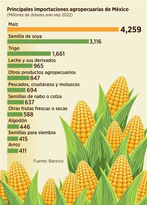 Lidera maíz en importaciones del agro mexicano elnorte