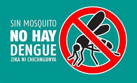 Dengue Zika Y Chikungunya Brindan Recomendaciones Para Su Prevenci N