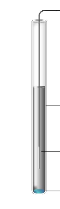 Ise Ion Selective Electrode Diagram Quizlet