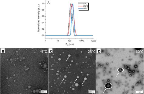 Microfluidic Controlled Self Assembly Of Polylactide Pla Based Linear