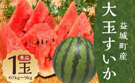 大玉すいか 秀品 1玉 約7kg〜9kg 送料無料 スイカ すいか 益城町産 お取り寄せ お取り寄せグルメ 西瓜 フルーツ 【2024年5月