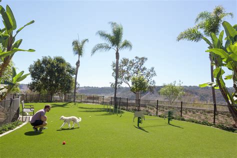 Apartments in San Diego with Dog Parks | Irvine Company