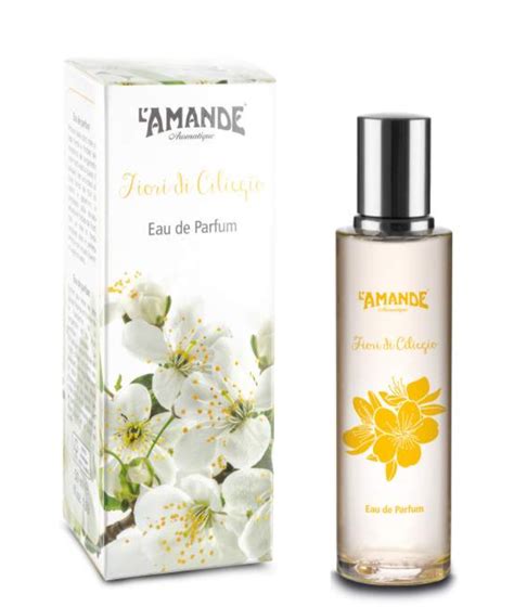 Fiori Di Ciliegio L Amande Parfum Un Parfum Pour Femme