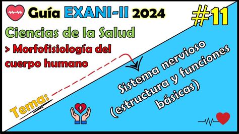 Curso Exani Ii Ciencias De La Salud Sistema Nervioso Estructura Y