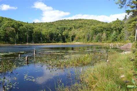 Nhfh Mud Pond Ragged Mountain