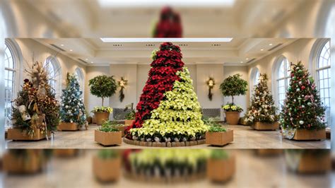 Hershey Gardens to feature Christmas tree showcase | WHP