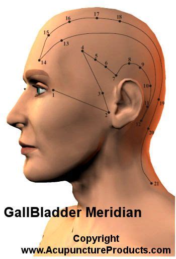 Gallbladder Head Points Acupressure Treatment Gallbladder Acupuncture