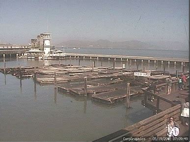 San Francisco Webcam List - Updated Regularly - BoatingSF