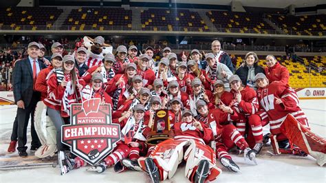 Wisconsin Hockey || 2023 NCAA National Champions - Win Big Sports