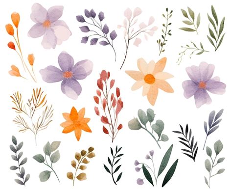 Premium Vector Watercolor Botanical Illustrations Set