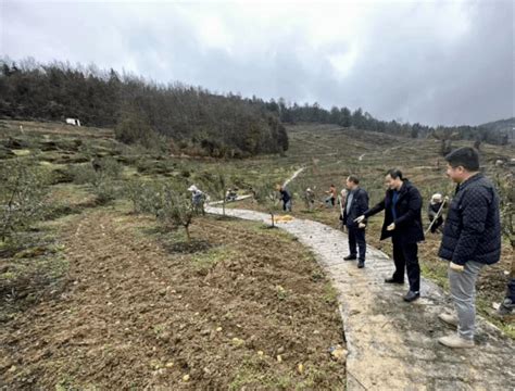 【坚持党建引领 强化基层治理】太白镇：党建引领促生产 抢抓农时备春耕服务农业责任