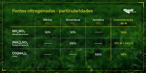 Nitrogênio para as plantas função e vantagens na adubação mineral