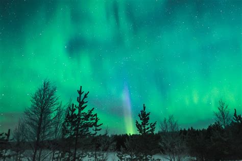 How to See the Northern Lights in Rovaniemi, Finland (Lapland)