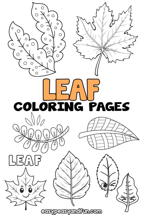 Printable Leaf Coloring Pages 25 Sheets Easy Peasy And Fun