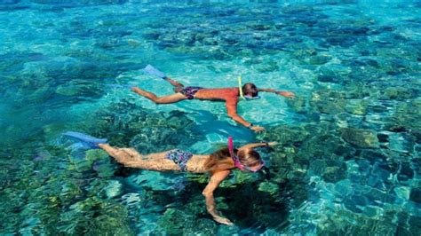 Can You Really Find SNORKELING IN GOA On The Web