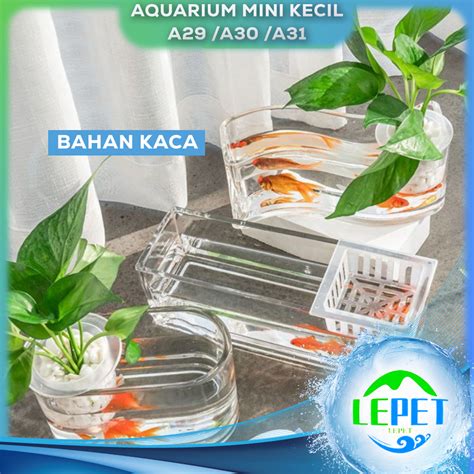 Jual Lepet Aquarium Mini Kecil A A A Akuarium Ikan Cupang