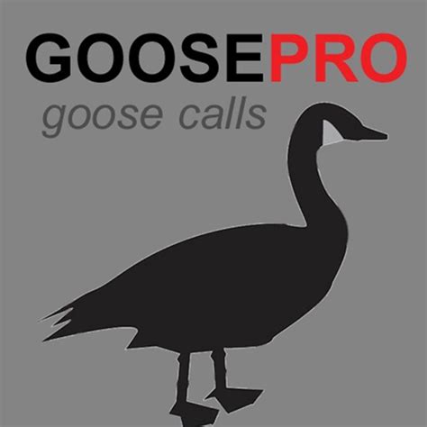 Canada Goose Call & Goose Sounds - BLUETOOTH COMPATIBLE iPhone App