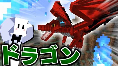 【マイクラ】ドラゴンだらけの世界で全てのドラゴンを飼いならす 1 ドラゴンmod進化しすぎ【マインクラフト】 Minecraft