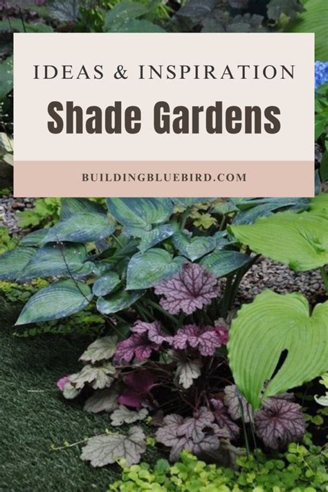 Ohio Shade Gardens | Best Perennials & Design Ideas - Building Bluebird