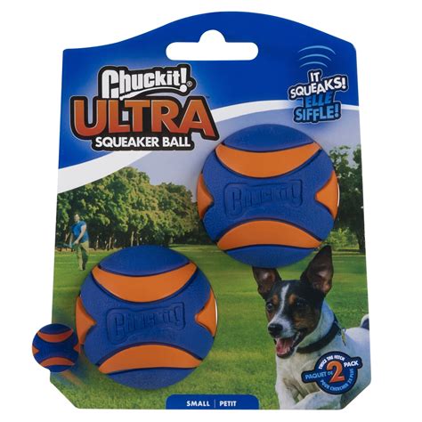 Why Do Dogs Chase A Ball