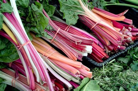 rhubarb varieties