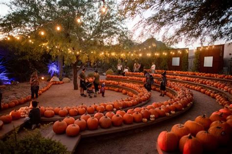 Fall Events at Desert Botanical Garden - Fabulous Arizona