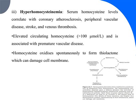 Pathophysiology Of Atherosclerosis Pptx