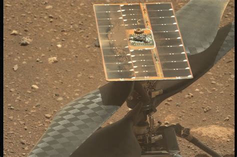 Mars Perseverance Rover Takes Selfie With Ingenuity Helicopter Ahead Of Historic Flight