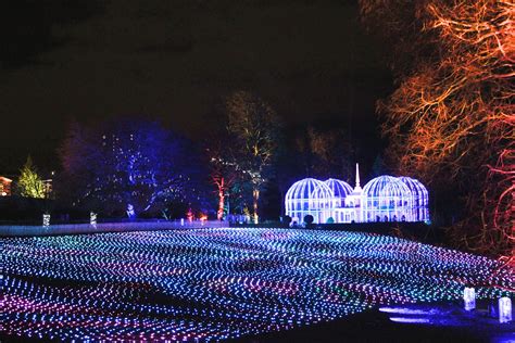 Christmas Lights at the Birmingham Botanical Gardens - Sophie's Nursery