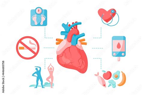 Heart disease and atherosclerosis prevention infographics. Healthy ...