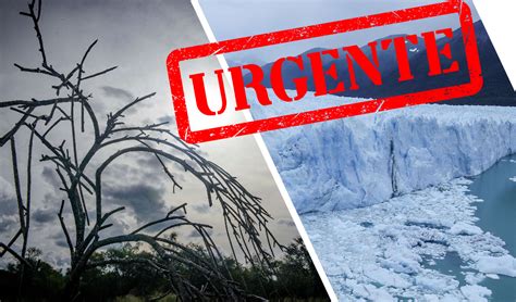 Fundaci N Greenpeace Argentina Bosques Y Glaciares En Peligro Sum