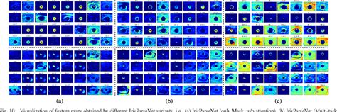 Figure 1 From Towards Complete And Accurate Iris Segmentation Using