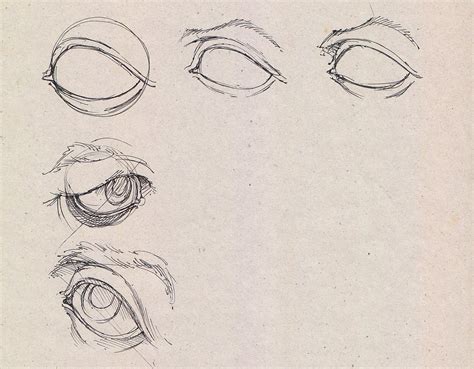 Tired Eyes Drawing At Getdrawings Free Download