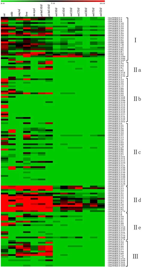 Tissue-specific expression profiles of soybean WRKY genes. Tissue-and ... 