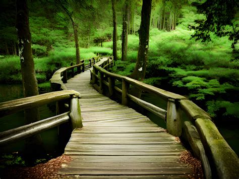 Surprising scenic views along the path route shock new riders 5