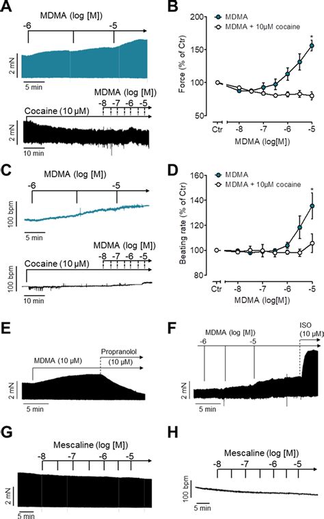 Inotropic And Chronotropic Effects Of Mdma And Mescaline A C Original