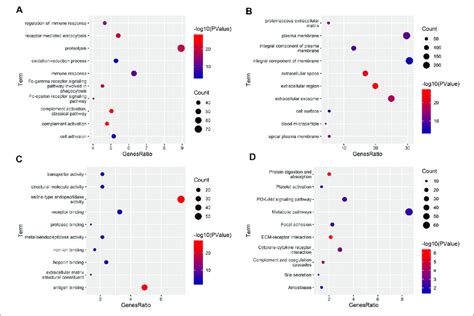 Functional Enrichment Analyses A C The Significantly Enriched Go