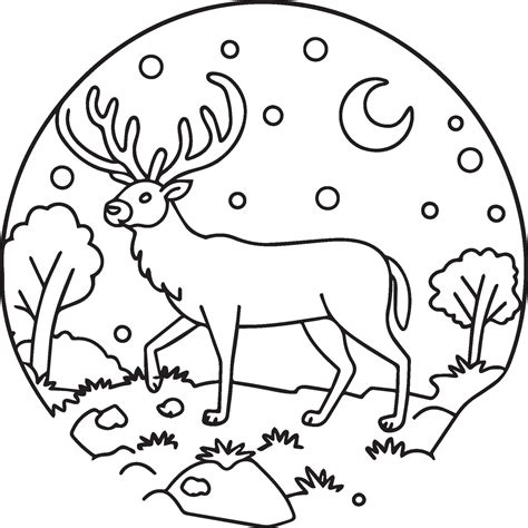 wild animal outline images 11