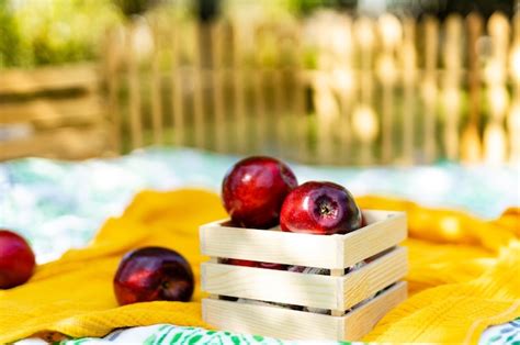 Manzanas Rojas Maduras En La Cesta Cosecha De Frutas Org Nicas