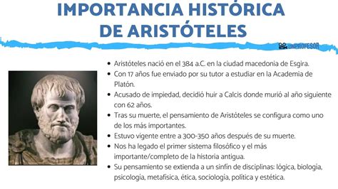 Biografía De Aristóteles Filosofía Lógica Y Legado En Pocas Palabras