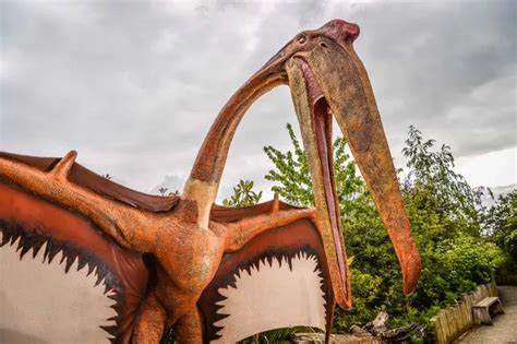 WATCH: Dinosaurs are back at Chester Zoo in its BIGGEST ever exhibition ...