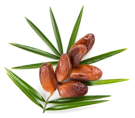 Date Fruits Proven Health Benefits