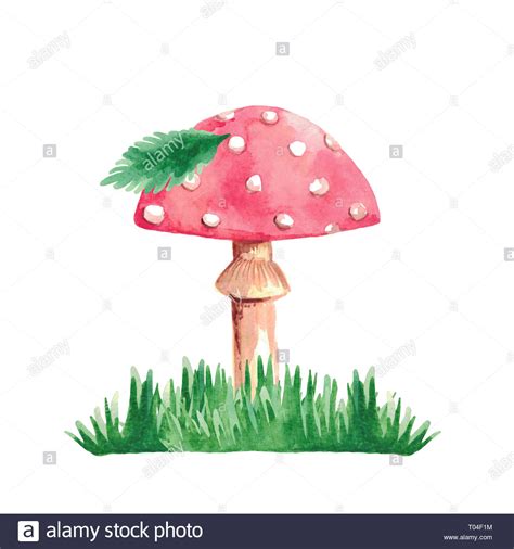 Watercolor Illustration Of Mushroom Fly Agaric Green Grass Leaf On