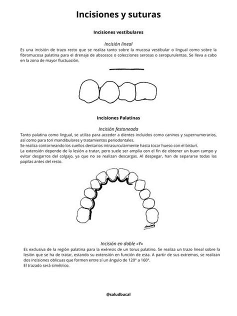 Incisiones Y Suturas Salud Bucal Udocz