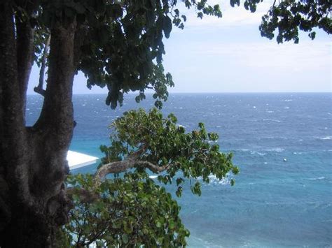 siaton    tripadvisor
