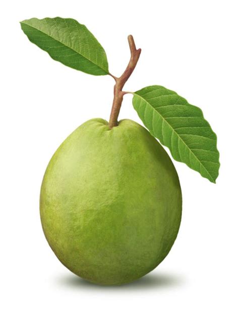 Fruit Of The Week GUAVA | Ayesha's Kitchen