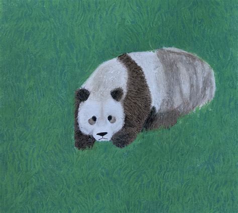 Qinling Panda Pastel Art, Pandas, Qinling Panda unframed 7.75 X 7 - Etsy