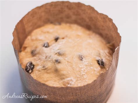 Slow Rise Panettone Recipe - Andrea Meyers